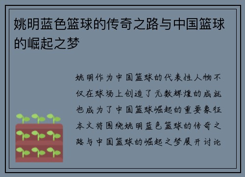 姚明蓝色篮球的传奇之路与中国篮球的崛起之梦
